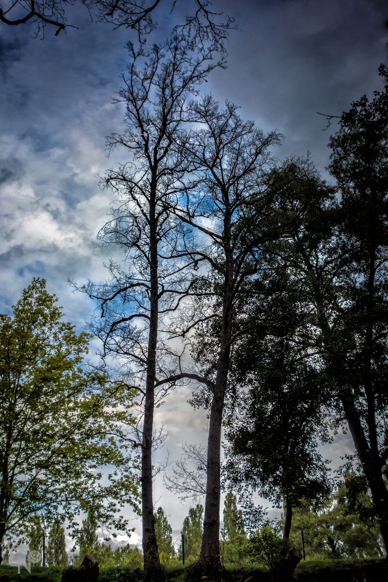 Reflet en Trompe l'Oeil