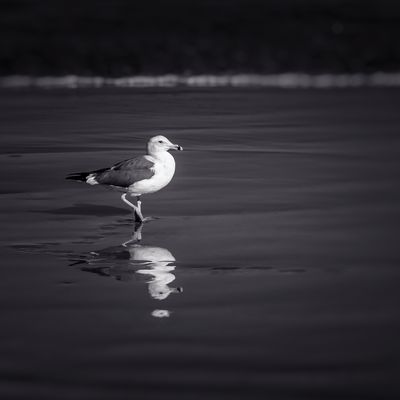 ines-perkovic-d800-coffee-everyday