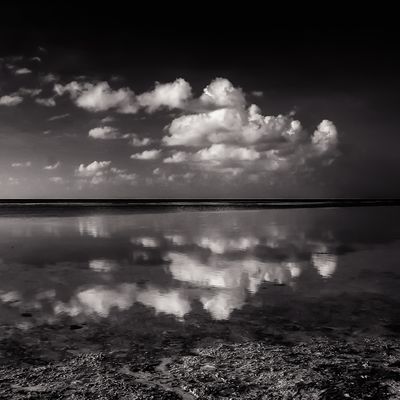 ines-perkovic-d800-coffee-everyday