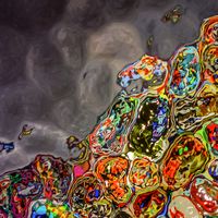 14595001023_c9ba192dec_b