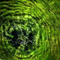 14595001023_c9ba192dec_b