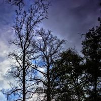 14E31D6F9ADFCBC1A8354A785943FED8