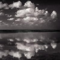 8663295673_fdebb108d3_b